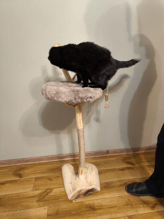 Ręcznie wykonany drapak dla kota