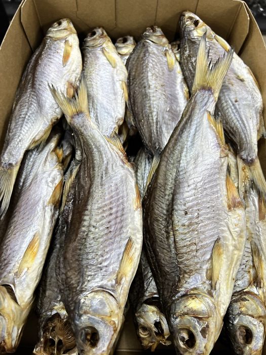 Риба плотва тарань гурт і роздріб