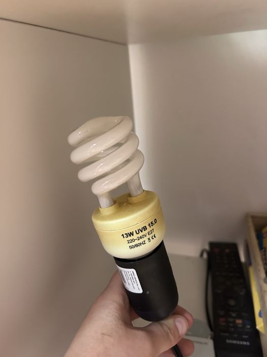 komplet żarówka uvb i grzewcza
