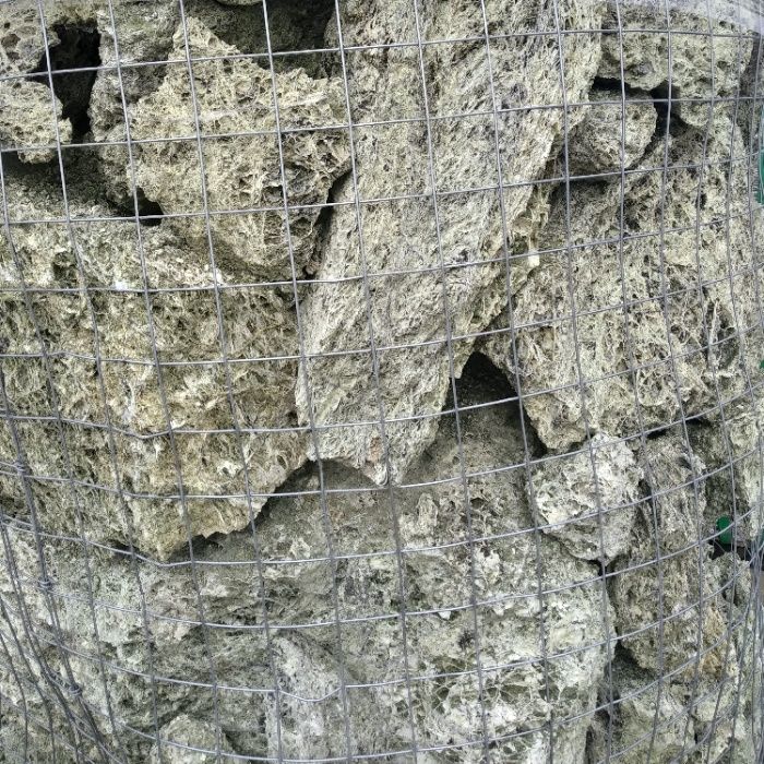 Spaghetti brązowe/ Spaghetti Green, zielone, kamień do akwarium