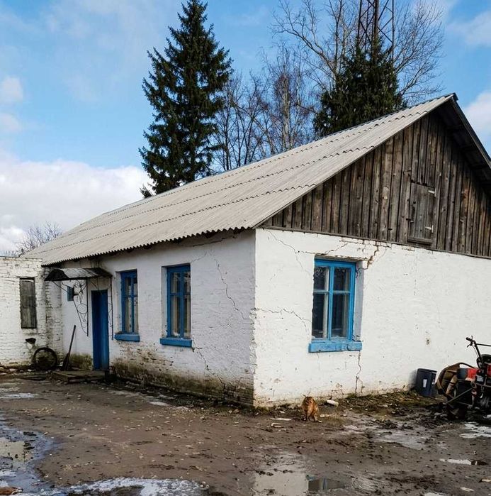 Оренда багатофункціонального комплексу у центрі Бобровиці