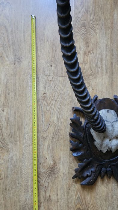 Poroże afrykańskie, antylopa