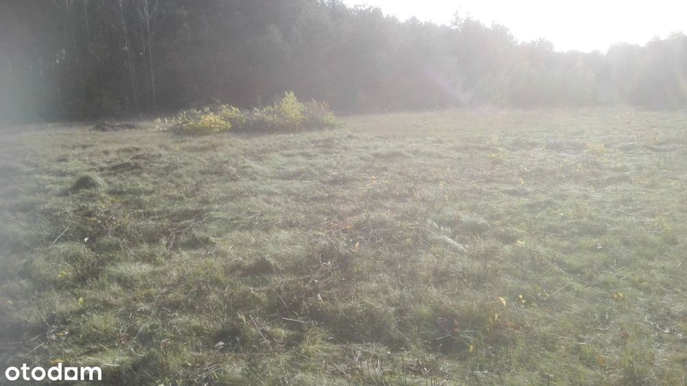 Sprzedam działkę 8400m2 - pozwolenie na budowę