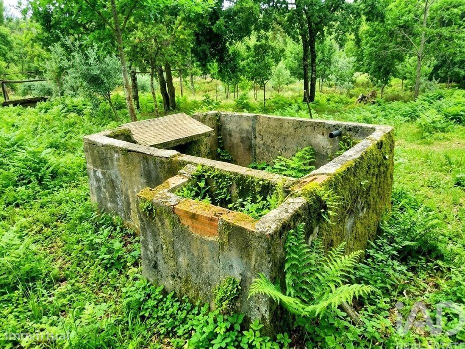 Quinta em Graça