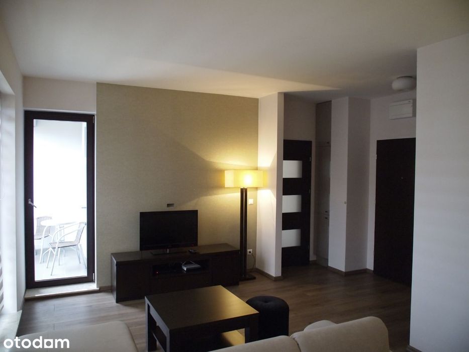 Apartment in Wrocław, Rodzinny Ogród Działkowy „Łączność”, Tarnogaj - Widok 6