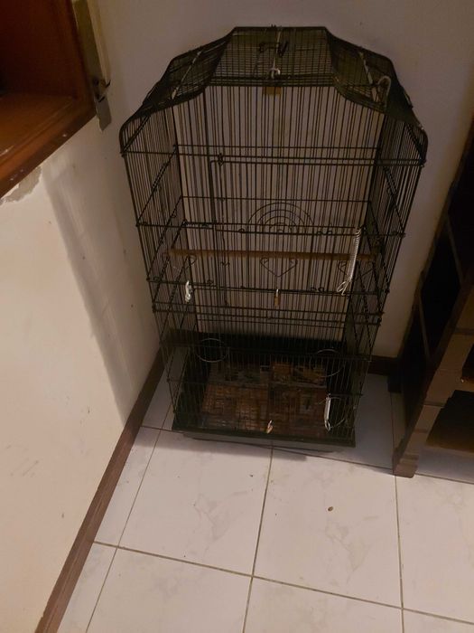Tenho gaiola de papagaio  para vender completamente nova