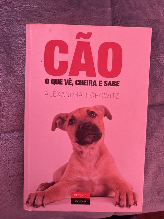 O cao que ve , cheira e sabe