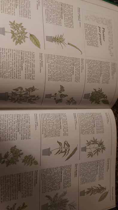 O Jardim em sua Casa de George Seddon