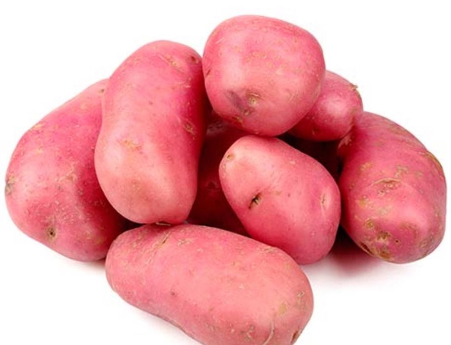 batata vermelha ou Branca olho rosa