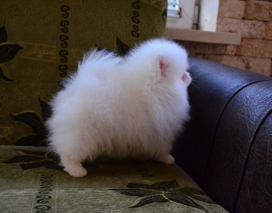 Мальчики и девочки 4,5 месяца.