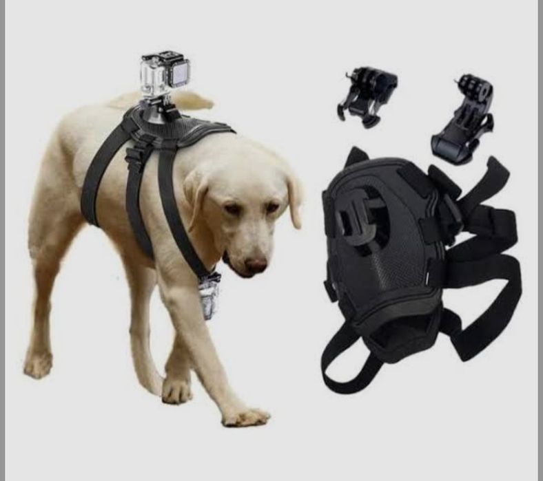 Кріплення для екшн-камери на собаку GoPro, SJCAM, Xiaomi