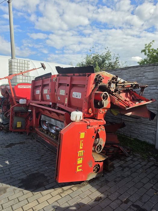 Przystawka do kukurydzy Olimac Drago 8 rzedów claas capello dominoni conspeed