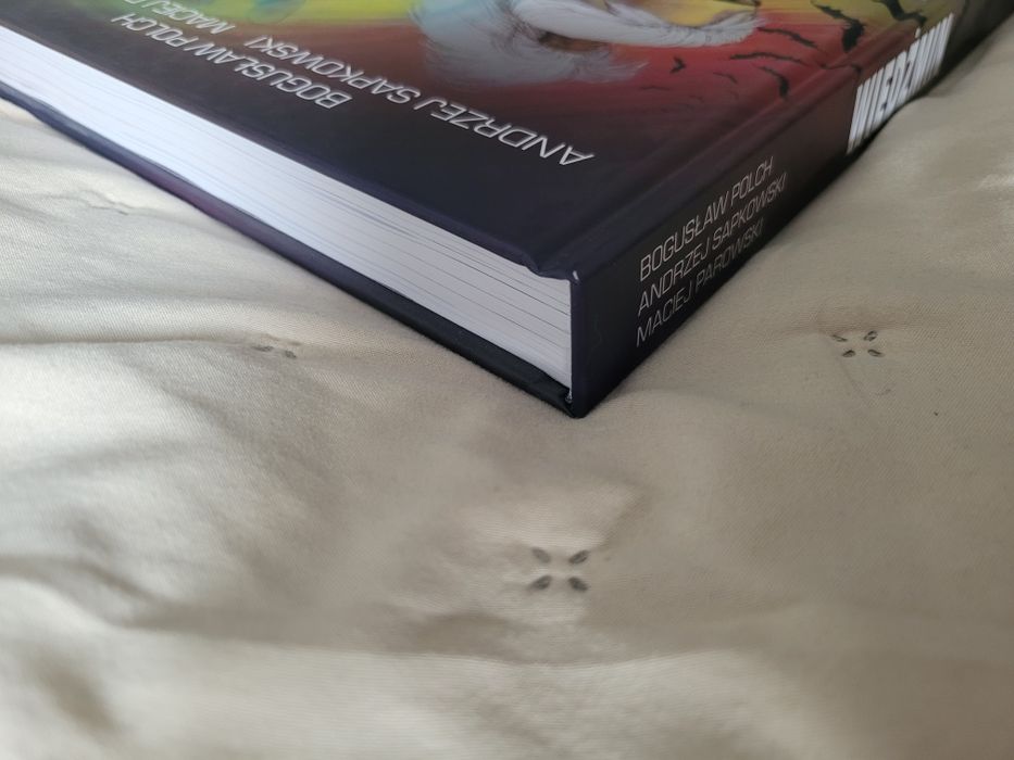 Wiedźmin komiks Polch Sapkowski