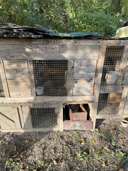 Кролячі клітки, клітки для кролів терміново пишіть