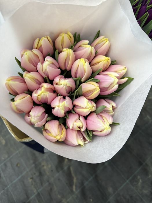 Тюльпан/ зріз тюльпану/ Квіти/ Опт 8 Березня