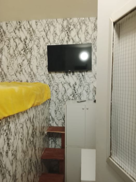 Alugo quarto para solteiro