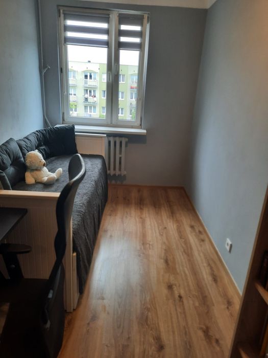 Wynajmę mieszkanie 38m2