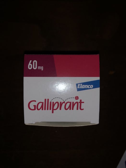 Galliprant (18 comprimidos)