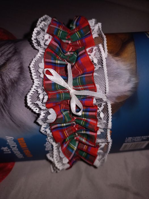 Podwiązka czerwona w kratę studniówka