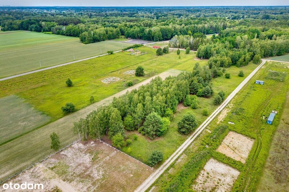 Działka 3000 m² z potencjałem inwestycyjnym – Bory