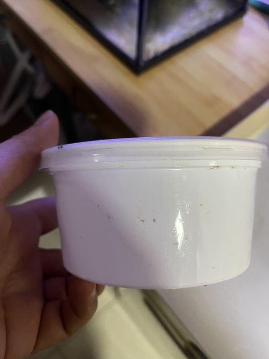 Vendo musgo de java