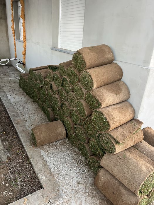 relva natural em tapete