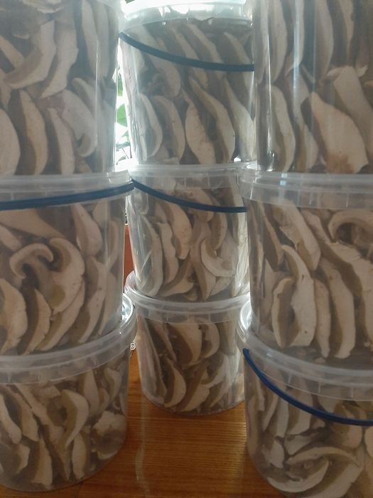 грибы белые сушеные без песка Закарпатья