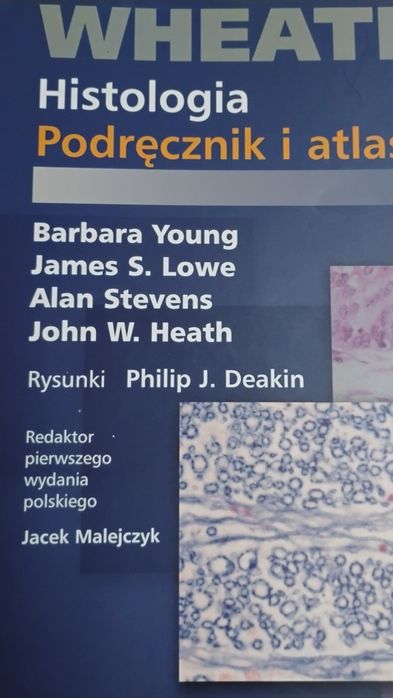 Histologia Wheater