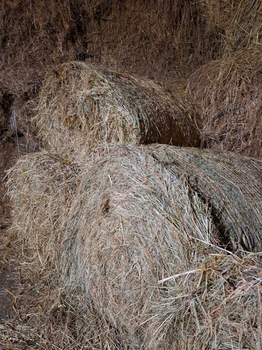 Sprzedam siano z pod dachu