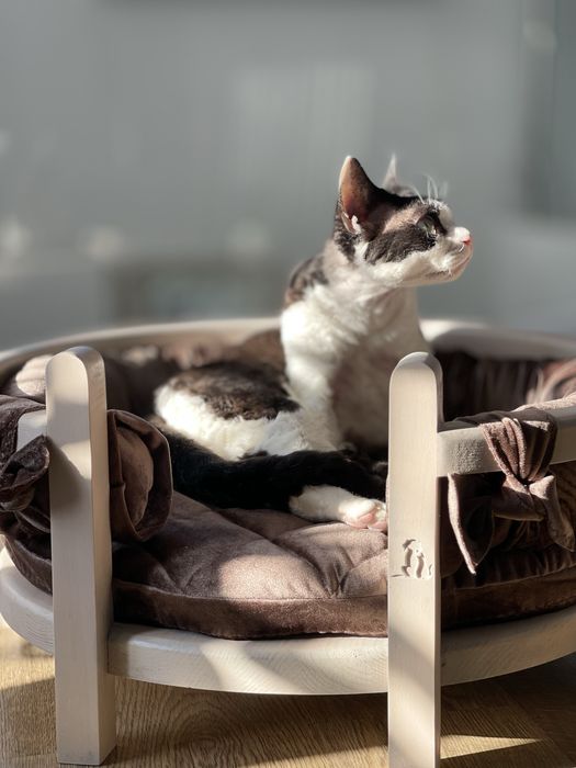 ліжко лежанка для собак або котів кровать з дерева з м'яким матрацом