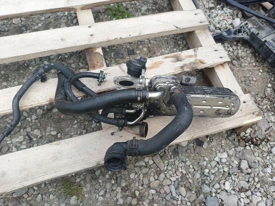 CHŁODNICZKA SPALIN EGR VW GOLF PLUS V SKODA OCTAVIA II TOURAN PASSAT B6 1.9 TDI BKC BXE 038131513AD