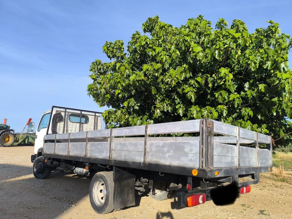 Nissan Cabstar 3.0 dCi (125 cv) – Rodado Duplo & Molas Reforçadas