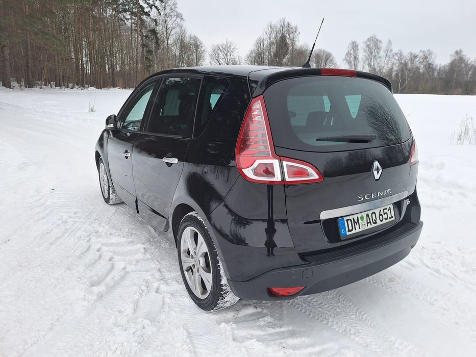 Ładny Scenic lift,  2010 rok, sprowadzony
