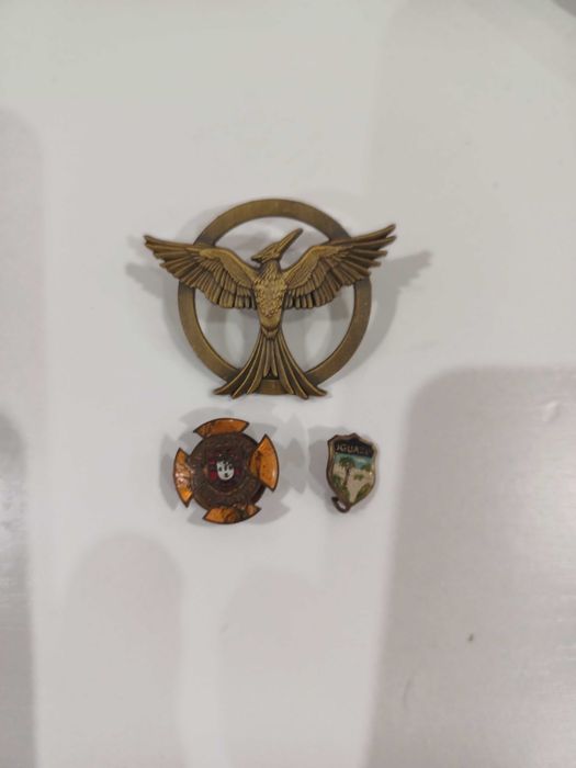 Lote Pins diversos
