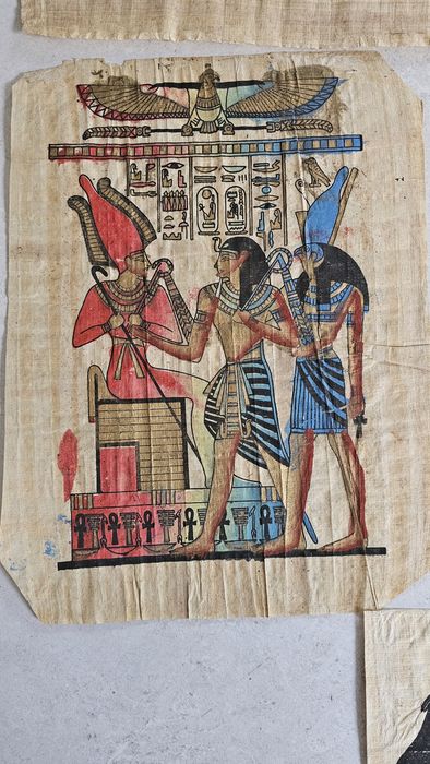 Papirus Egipski 7 papirusów papirus