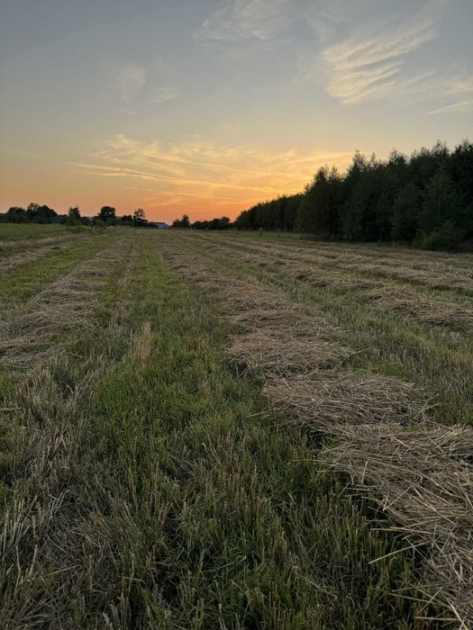 Słoma kostka 2025 świeża ekologiczna bez oprysków