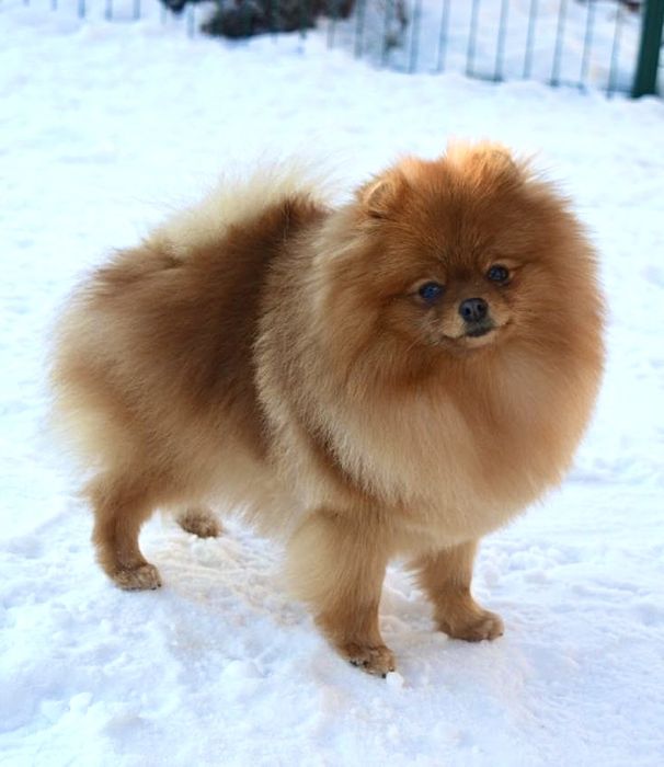 Дівчинка 1 рік ….