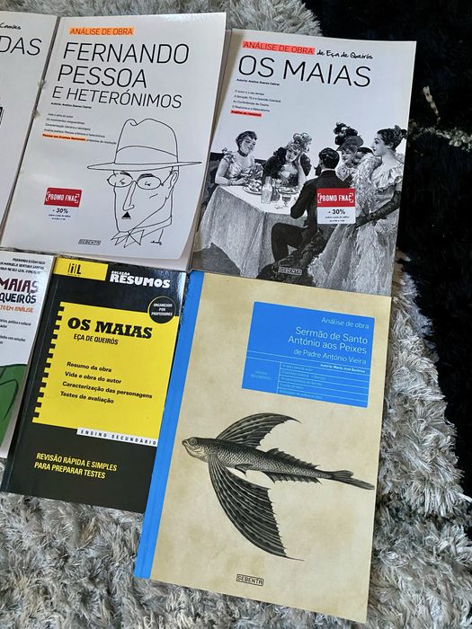 Livros de Resumos e Análises de Obras - Secundário