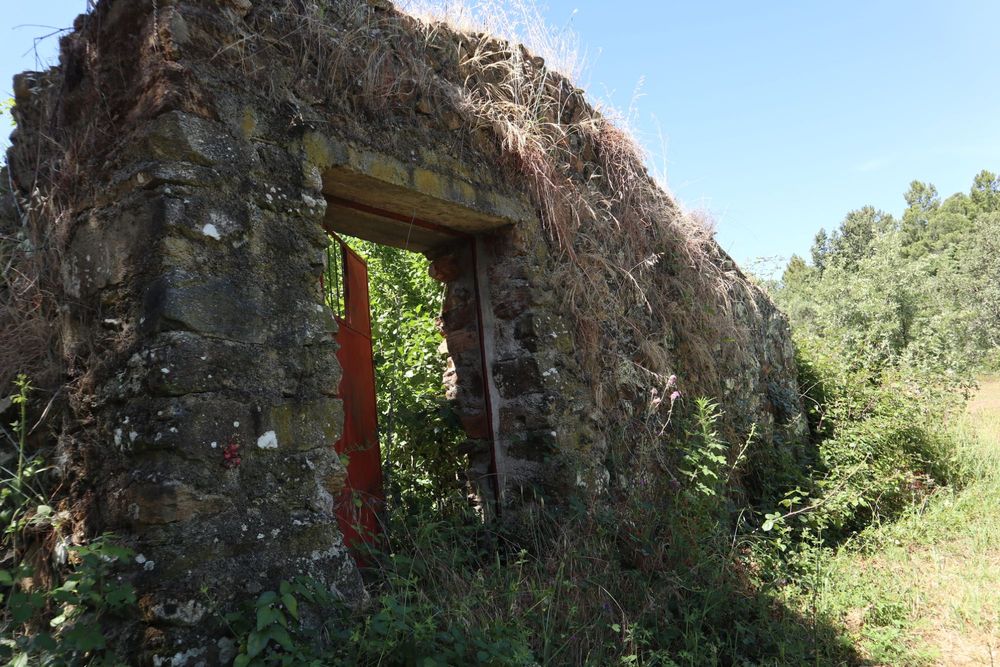 Quinta de 3,6 hectares com ruínas e terreno urbano em Alcaide