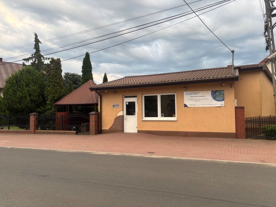 Zdjęcie 7