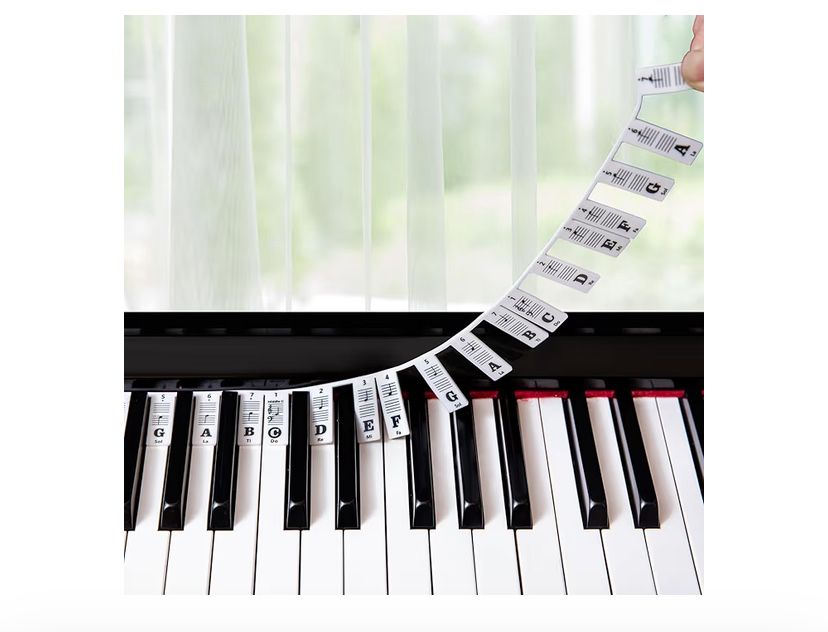 Teclado Alesis 88 teclas com bolsa e guias