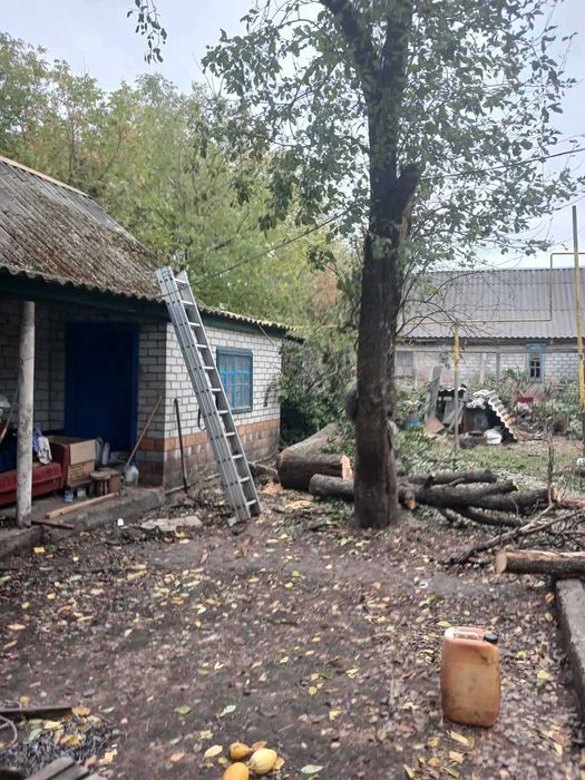 Спил дерев . Обрізка дерев.