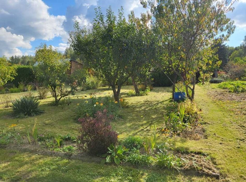 Sprzedam działkę ROD, ogrodową na Słoneczniku