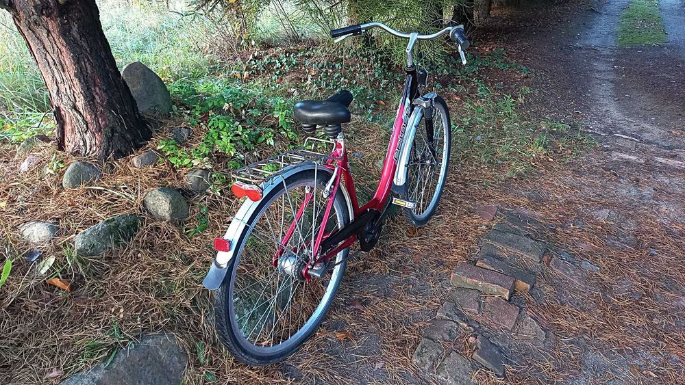 Alu Rower Miejski Damski Prince Damka Łabędź Niska Rama Sram S7 Led 28