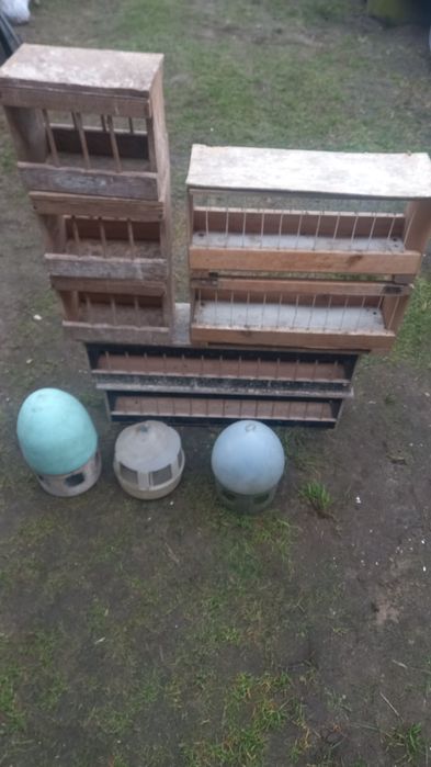 Pułki do gołębi pasniki pojniki regały