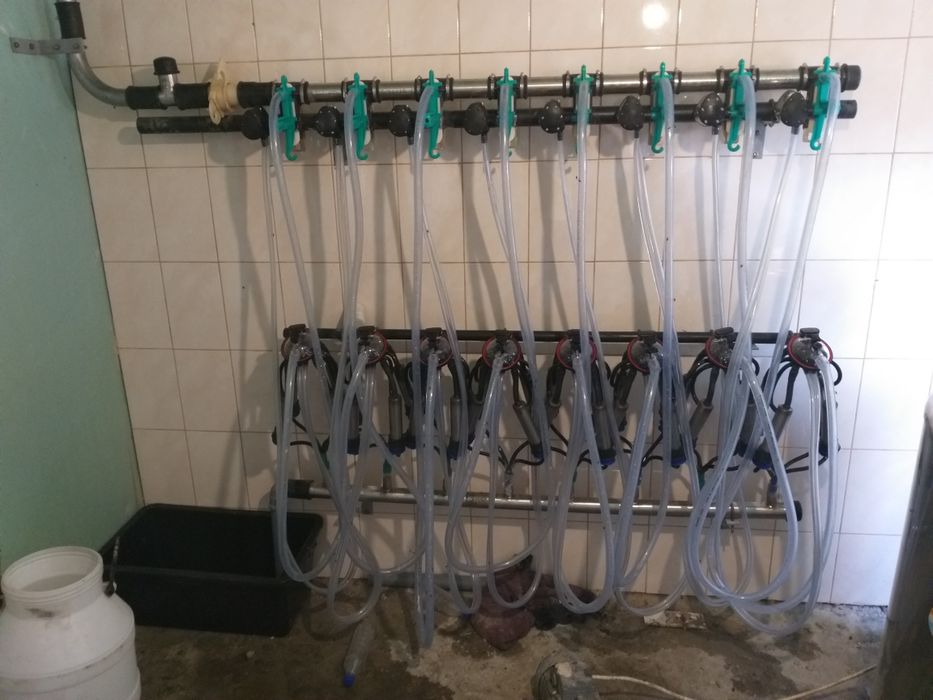Молокопровод од 10 до 200голов, вакуумна линия, доильное оборудование