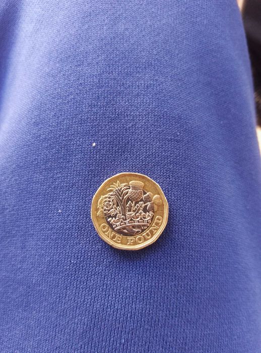 One Pound Elizabeth II 2019