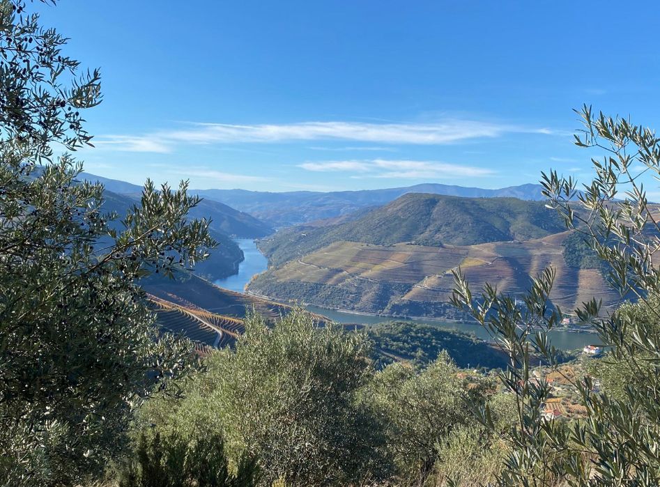 Terreno vista Douro