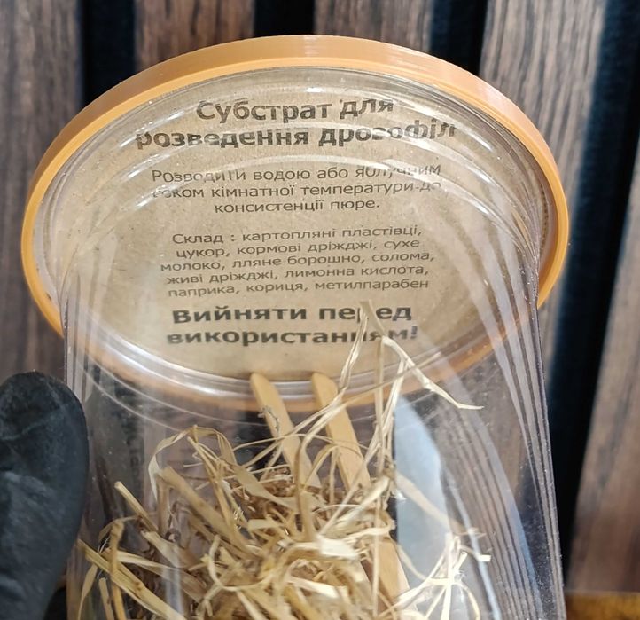 Не літаюча дрозофіла хідея, мошка, мелангастер ПАКУВАННЯ ВКЛЮЧЕНЕ В ЦІНУ, Є ВІДПРАВКА ПОШТОЮ