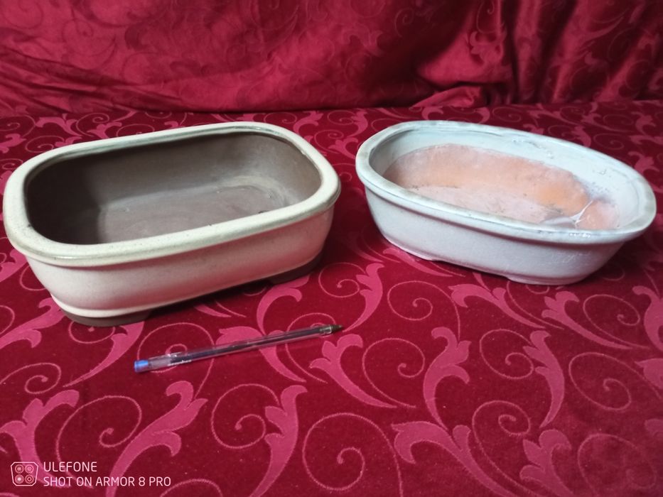 2 vasos bonsai usados